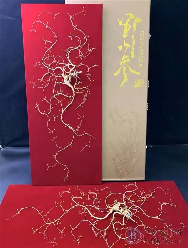 长白山人参鹿茸 源头货源 产地直发 